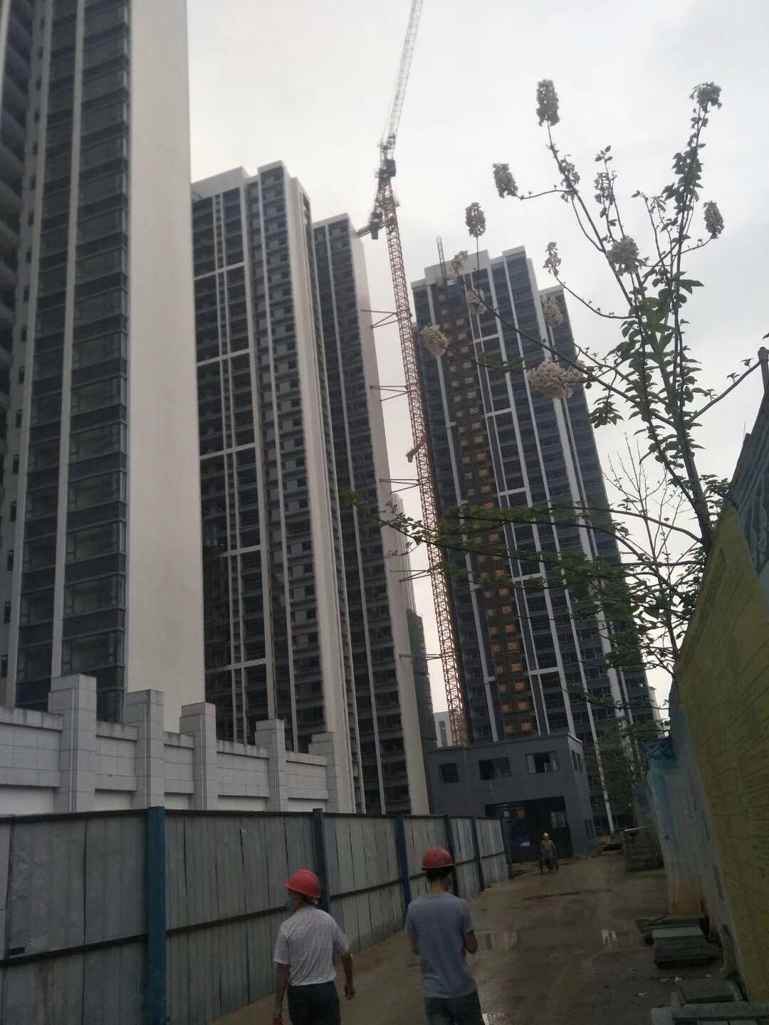 微信圖片_20200430135751.jpg 微信圖片_20200430135751.jpg